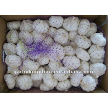 2012 5.0cm 10kg loose packing fresh pure white garlic